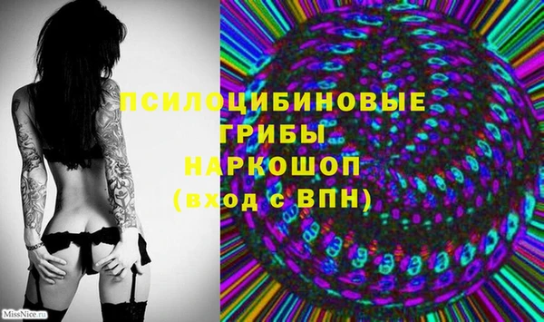 дмт Горно-Алтайск