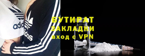 шишки Гусиноозёрск