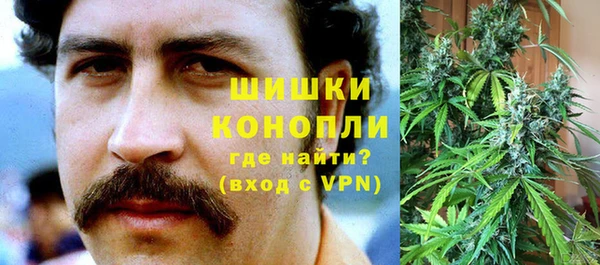 шишки Гусиноозёрск