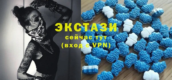 шишки Гусиноозёрск
