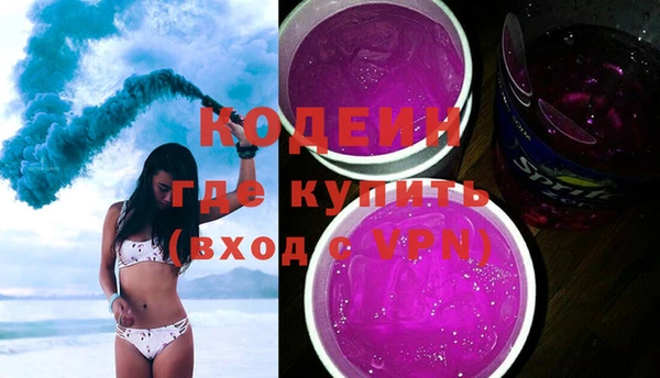 шишки Гусиноозёрск