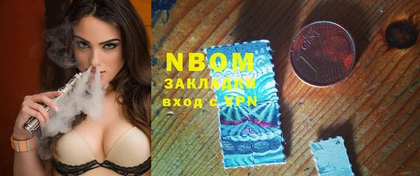 мдпв Горнозаводск