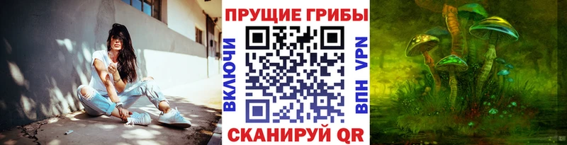 Псилоцибиновые грибы прущие грибы  Данилов 